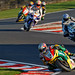 Stuart Ellison Photo 19