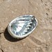Gregory Shell Photo 14