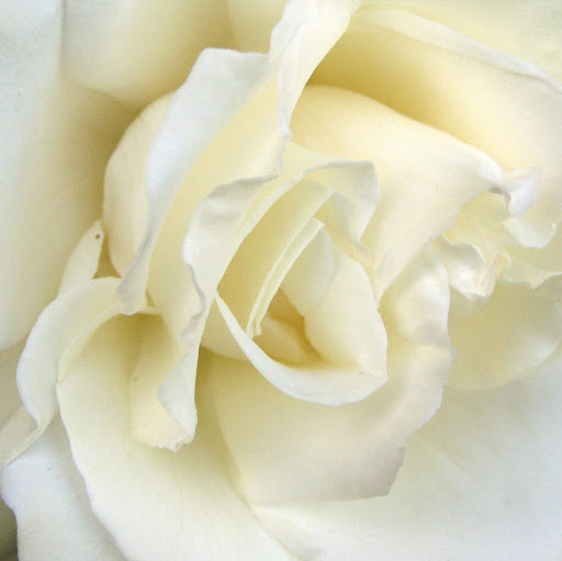 Ruth Mills Photo 21