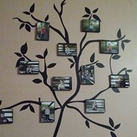 Michele Perkins Photo 38