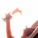 Hsin Ho Photo 11