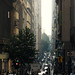Carl Lane Photo 8