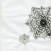 Kathryn Robison Photo 20