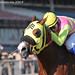 Rudy Rodriguez Photo 41