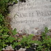 Samuel Weiner Photo 19