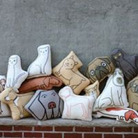 Ann Weiland Photo 7