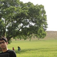 Mohammad Matin Photo 14