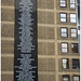 Joyce Parsons Photo 13