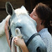 Janet Erwin Photo 32