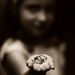 Barbara Ring Photo 16