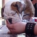Kathi Hand Photo 10