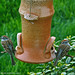 Deborah Sparrow Photo 26