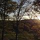 Lisa Lewis Photo 16