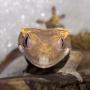 Audrey Burns Photo 21