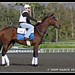 Connie Walters Photo 8