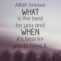 Mohammed Azizuddin Photo 9
