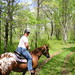 Renee Clyde Photo 12