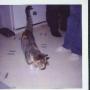 Jim Rasmussen Photo 4