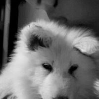 Julia Volpe Photo 9