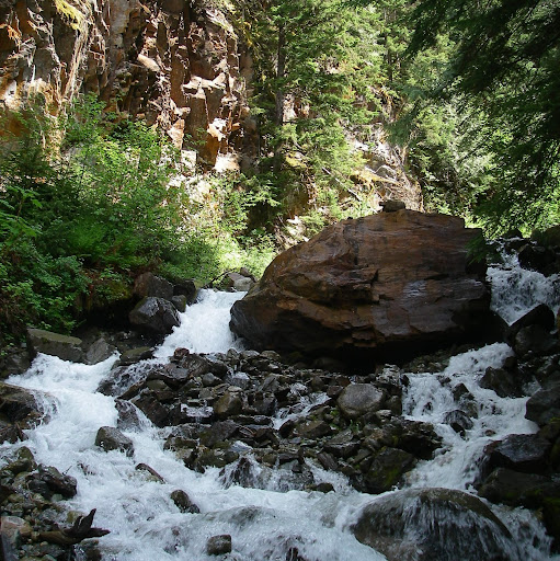Aimee Mitchell Photo 22