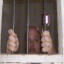 Michael Symons Photo 27