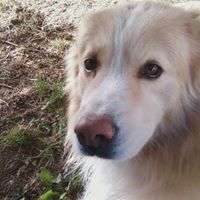 Sandy Capps Photo 3