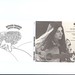 Ruthann Friedman Photo 17