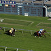 Russell Meadows Photo 33