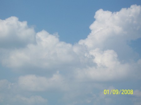 Shannon Watkins Photo 31