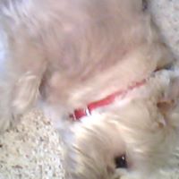 Mary Pumphrey Photo 7