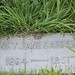 Nancy Carpenter Photo 18