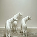 Irene Andersen Photo 18