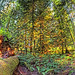 Douglas Macmillan Photo 6