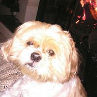 Anne Matthews Photo 31