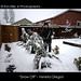 Julie Snow Photo 35