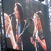 Teresa Campbell Photo 33
