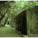 Lan Wu Photo 31