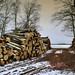 Lorraine Winters Photo 21