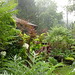 Michael Ash Photo 15