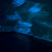 Craig Pierson Photo 14
