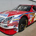 Debbie Ambrose Photo 19