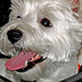 Kerry Hicks Photo 33