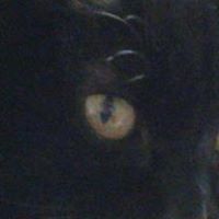 Lorraine Calvert Photo 15