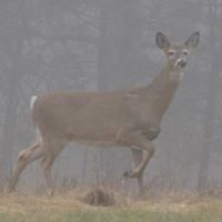 Dwight Rich Photo 9