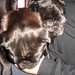Andrea Winslow Photo 15