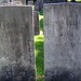 Ruth Wilcox Photo 31