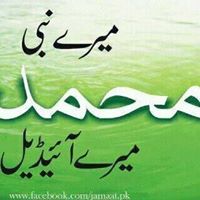 Muhammad Riaz Photo 28