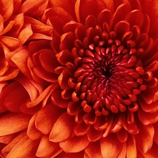 Maggie Stone Photo 21