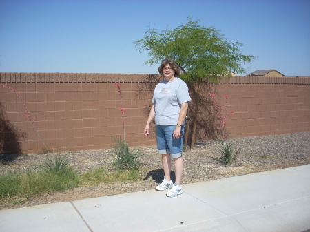 Cynthia Robertson Photo 11