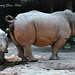 Guang Xiang Photo 14